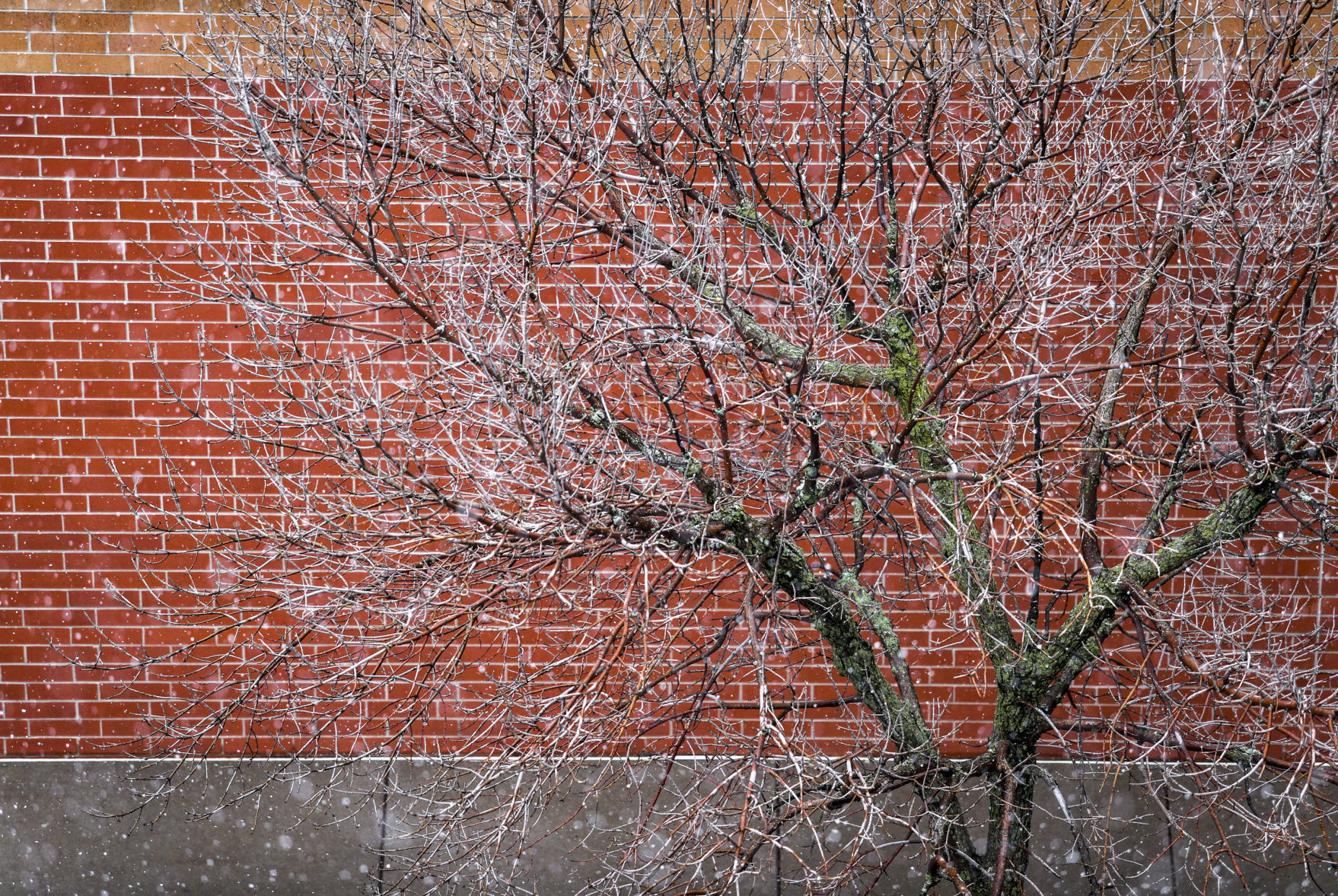 041618-QCT-QCA-WEATHER-FEATURE-005